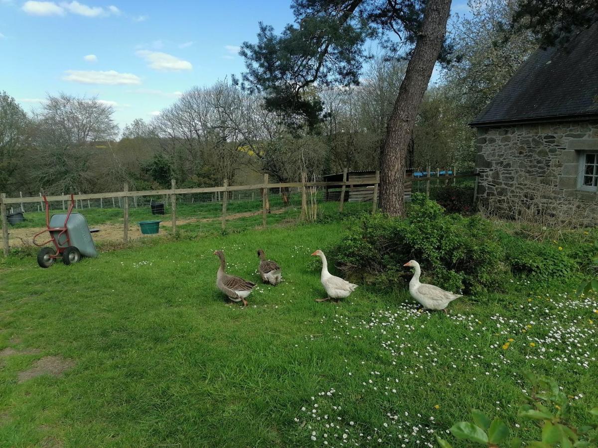 Frairie Du Divit Bed & Breakfast Pontivy Exterior photo