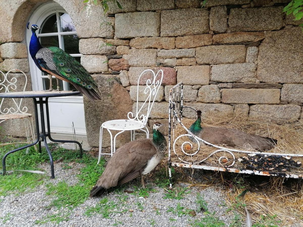 Frairie Du Divit Bed & Breakfast Pontivy Exterior photo